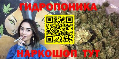 эйфоретик Дубна