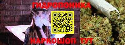 эйфоретик Дубна
