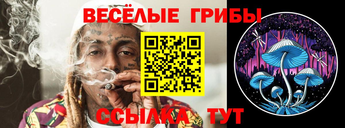 Псилоцибиновые грибы GOLDEN TEACHER Мирный